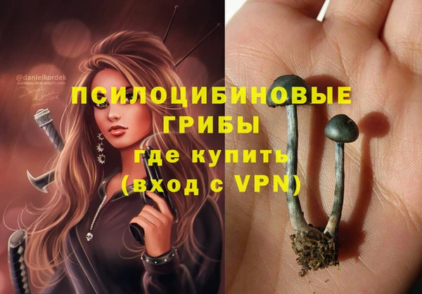 индика Белокуриха
