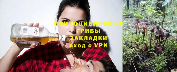 мдпв Беломорск