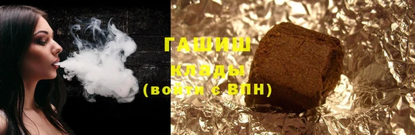 индика Белокуриха