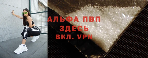 индика Белокуриха