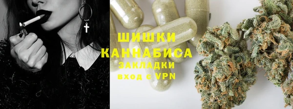 индика Белокуриха