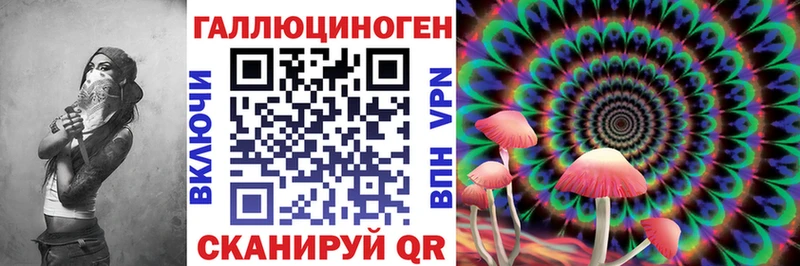 Псилоцибиновые грибы Psilocybe  Саяногорск 
